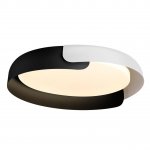 Светильник настенно-потолочный Sonex 7706/60L Art