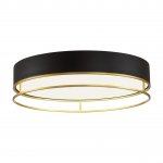 Светильник настенно-потолочный Sonex 7723/100L Misto Wood