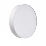 7779/DLN BASICA SN 138 Светильник пластик/белый LED 48Вт 3000/4000/6000К D390 IP43 CCT OPTIMA