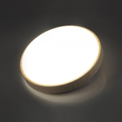 7792/ALN PALE SN 170 Светильник пластик/белый/бежеый под дерево LED 18Вт 4000К D340 IP43 LOSTA
