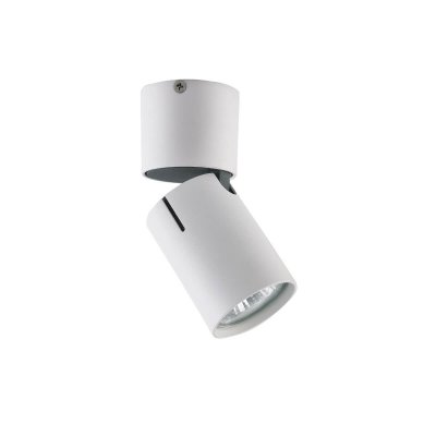 

Светильник спот Vele luce VL8061s21 carrisi, VL8061s21
