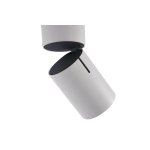 Светильник спот Vele luce VL8061s21 carrisi