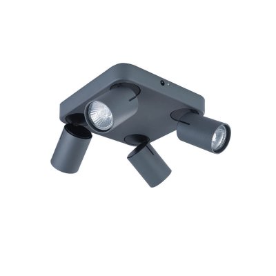 

Светильник спот Vele luce VL8067s04 carrisi, VL8067s04