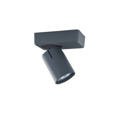 

Светильник спот Vele luce VL8067s31 carrisi, VL8067s31
