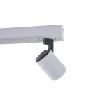 Светильник спот Vele luce VL8071s02 lexi