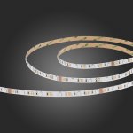 Светодиодная лента SMD5050 St luce ST019.318.20RGBW ST019 RGBW