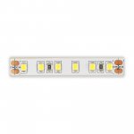 ST1001.410.65.2 Светодиодная лента 2835 9,6Вт/м 4000К 200Лм/м Ra>90 IP65 L5000xW12 24В Светодиодные ленты