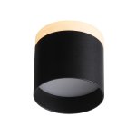 Светильник потолочный St luce ST102.402.12 PANAGGIO