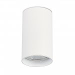 Светильник потолочный St luce ST157.542.20 ST157