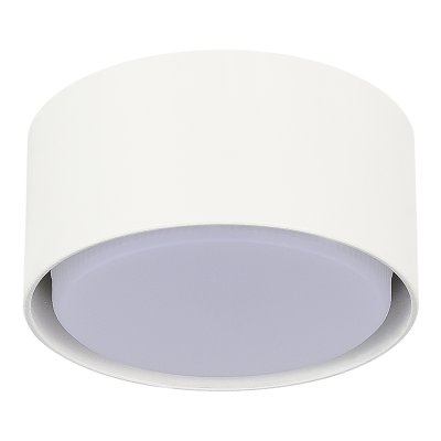 Светильник накладной St luce ST164.502.01 Накладные светильники