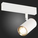 Трековый светильник St luce ST504.536.01 ST504