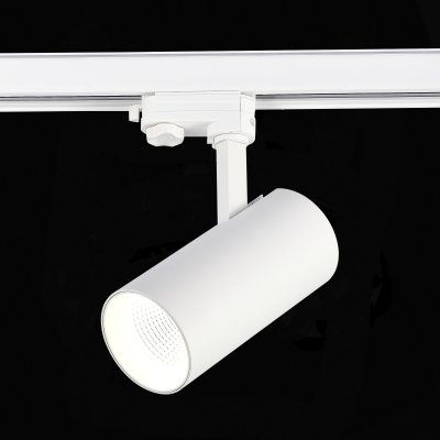 Трековый светильник St luce ST661.536.30 ST661