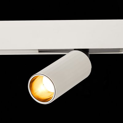 Магнитный трековый светильник St luce ST807.546.12 ST807