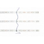 Лента светодиодная SWG SWG SWG-212-12-W