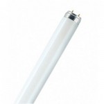 Лампа люминесцентная Philips TLD 18W/840 G13 холодно-белая