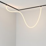 Трековый подвесной светильник Maytoni TR101-2-50W3K-B Tau