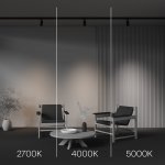 Трековый светильник Maytoni TR197-3-12WCCT-M-B Focus Led