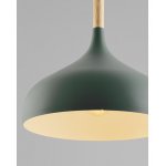 Подвесной светильник Moderli V1296-1P Eline 1*E27*60W