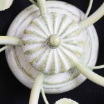 Люстра Vitaluce V1456/5PL