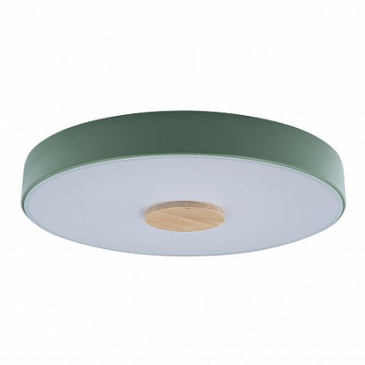 Потолочный светильник Loft it 10003/24 Green Axel