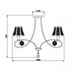 Потолочная люстра Vele Luce Casto VL1401L05