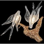 Светильник Wertmark WE183.02.501