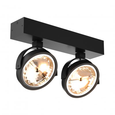 Потолочный светильник Zumaline GO SL 2 50485-G9 Потолочный светильник Zumaline GO SL 2 50485-G9