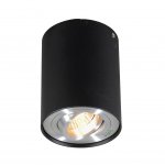 Потолочный светильник Zumaline RONDOO 89201