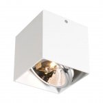 Потолочный светильник Zumaline BOX SL1 89947-G9